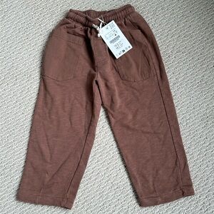 NWT Zara Pants